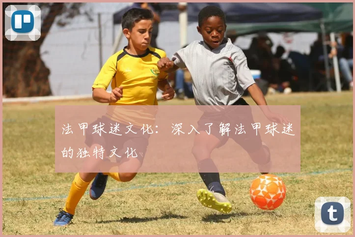 法甲球迷文化：深入了解法甲球迷的独特文化